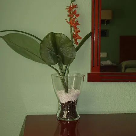 Hotel Serit